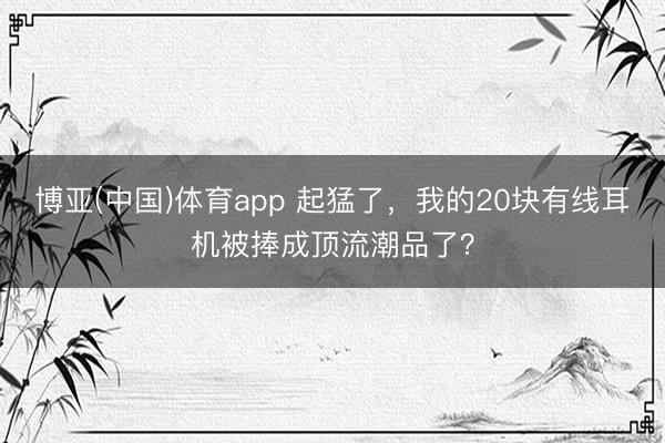 博亚(中国)体育app 起猛了，我的20块有线耳机被捧成顶流潮品了？