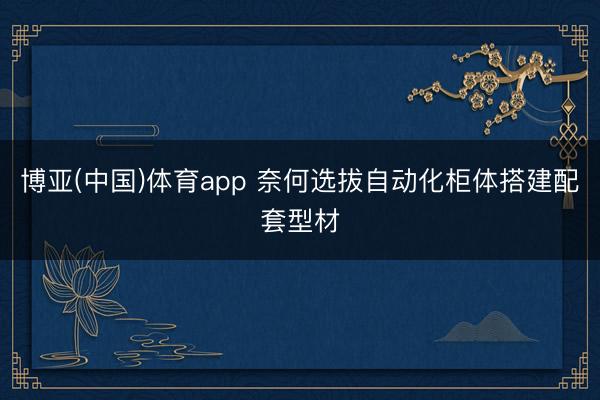 博亚(中国)体育app 奈何选拔自动化柜体搭建配套型材