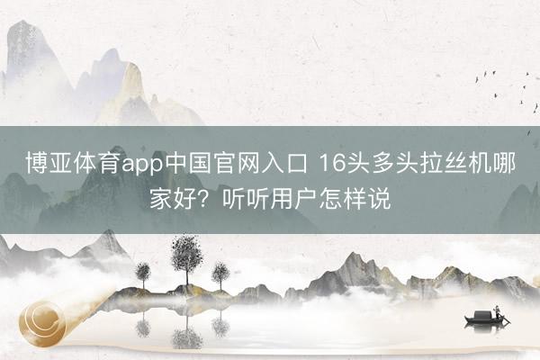 博亚体育app中国官网入口 16头多头拉丝机哪家好？听听用户怎样说