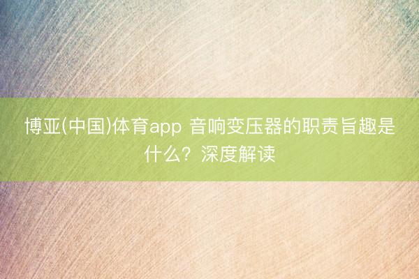博亚(中国)体育app 音响变压器的职责旨趣是什么？深度解读