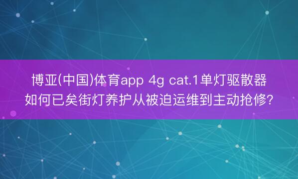 博亚(中国)体育app 4g cat.1单灯驱散器如何已矣街灯养护从被迫运维到主动抢修？
