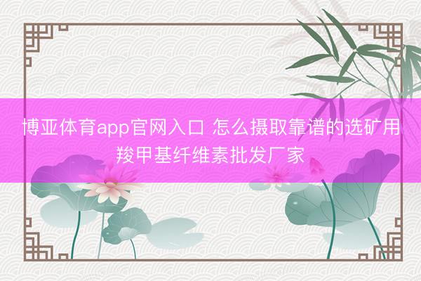 博亚体育app官网入口 怎么摄取靠谱的选矿用羧甲基纤维素批发厂家