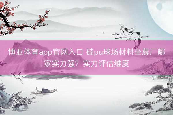 博亚体育app官网入口 硅pu球场材料坐蓐厂哪家实力强？实力评估维度