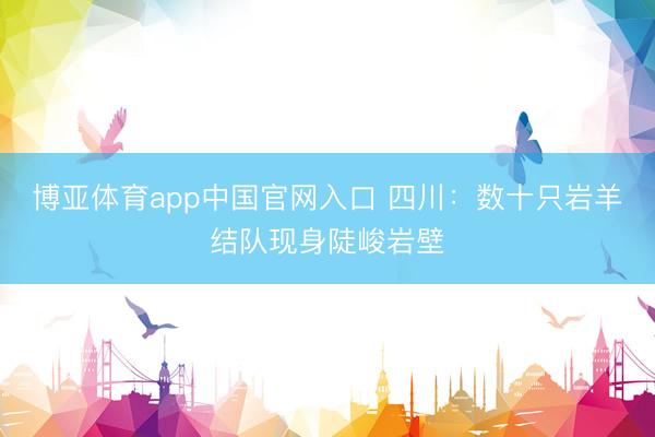 博亚体育app中国官网入口 四川：数十只岩羊结队现身陡峻岩壁