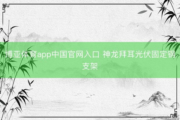 博亚体育app中国官网入口 神龙拜耳光伏固定钢支架
