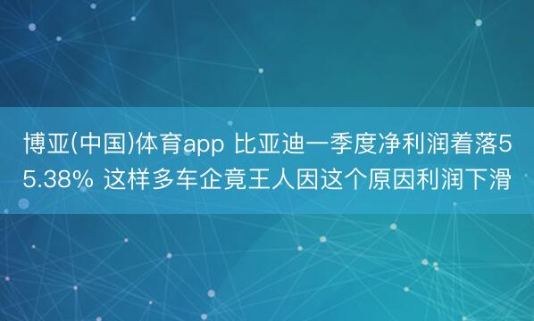 博亚(中国)体育app 比亚迪一季度净利润着落55.38% 这样多车企竟王人因这个原因利润下滑